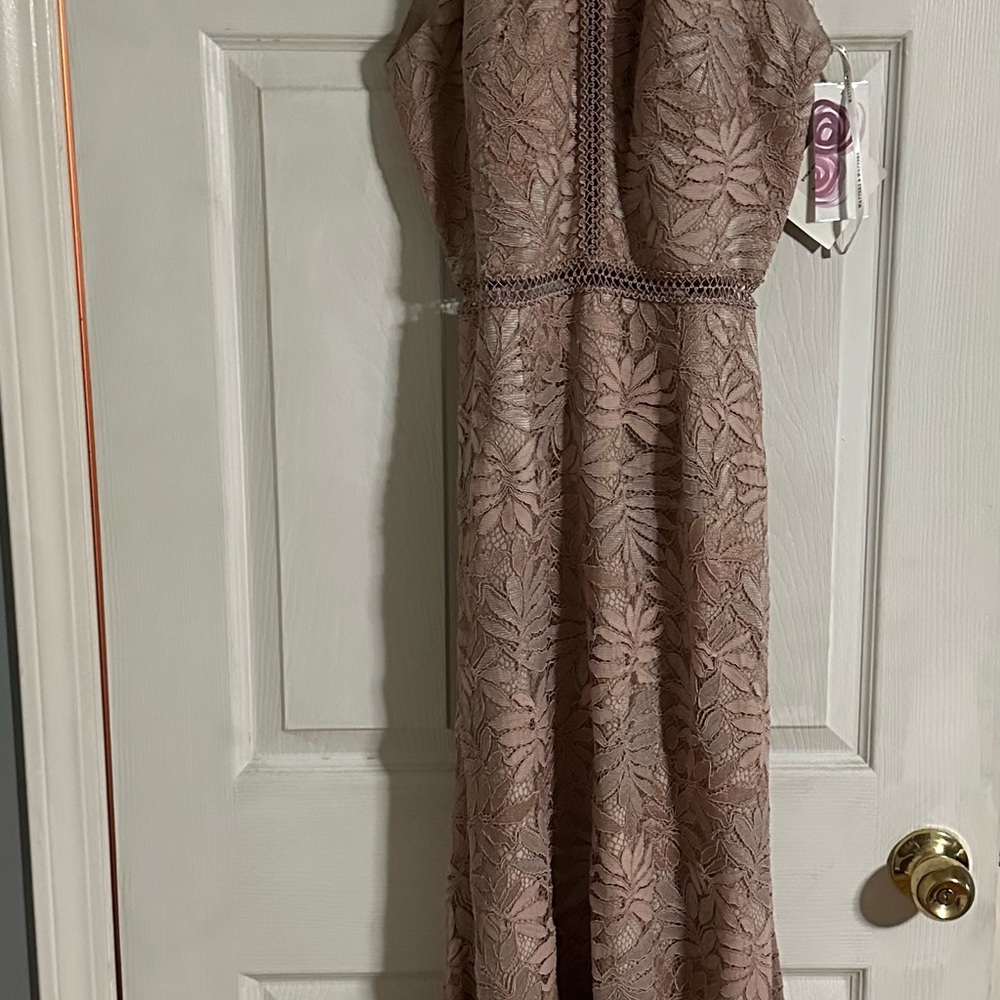 Elegant Lace Dress in Blush